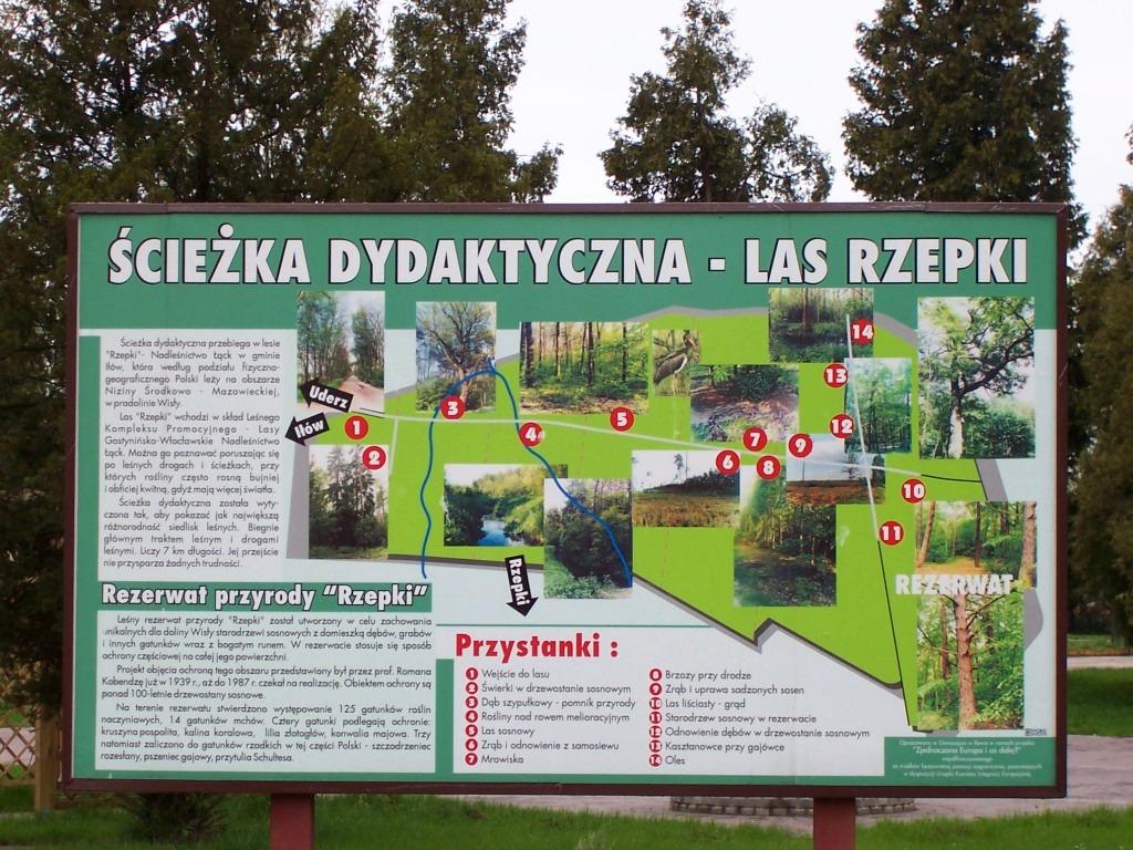 Na terenie leśnictwa znajduje się rezerwat Rzepki