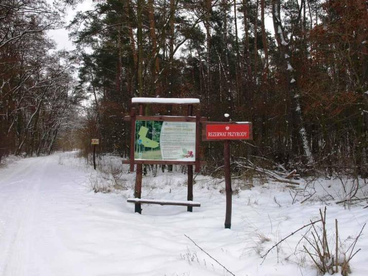 Wejście do rezerwatu Jastrzabek