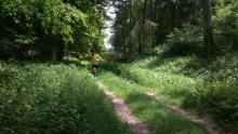 IV edycja Ultramaratonu Rykowisko w łąckich lasach