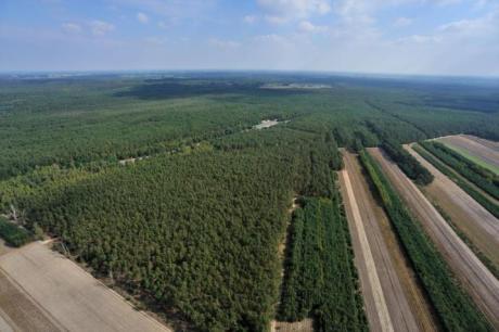 Nadleśnictwo Łąck ogłasza chęć zakupu lasów oraz gruntów przeznaczonych do zalesienia