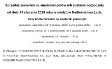 Sprzedaż zezwoleń na amatorski połów ryb